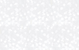 A__Sページ 楽天市場】【全品P15倍！15日00:00〜24H限定】バイアシナガ
